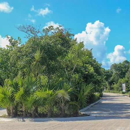 Elegant Stylish Condo Golf Course View Fantastic Private Balcomy Amazing Amenities Akumal Bagian luar foto